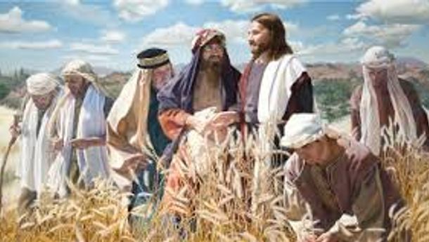 Bacaan Liturgis, Selasa, 20 Januari 2026