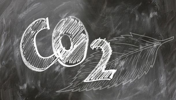 Direktur WALHI Lampung Ingatkan Risiko Perdagangan Karbon