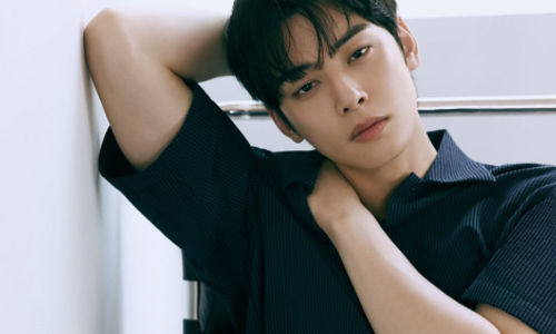 Idol sekaligus aktor asal Korea Selatan, Cha Eun Woo.
