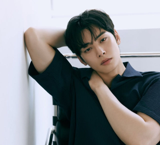 Idol sekaligus aktor asal Korea Selatan, Cha Eun Woo.
