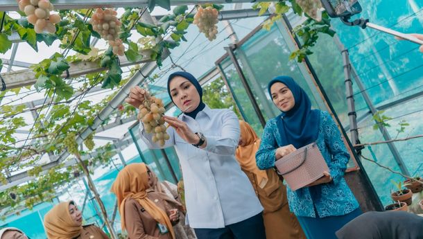 TP PKK Provinsi Lampung Dorong Pekarangan Produktif