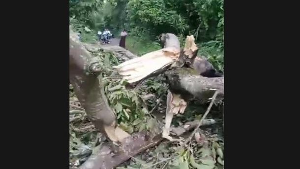 Angin Kencang, Bikin Enam Desa Lio Timur Gelap Gulita