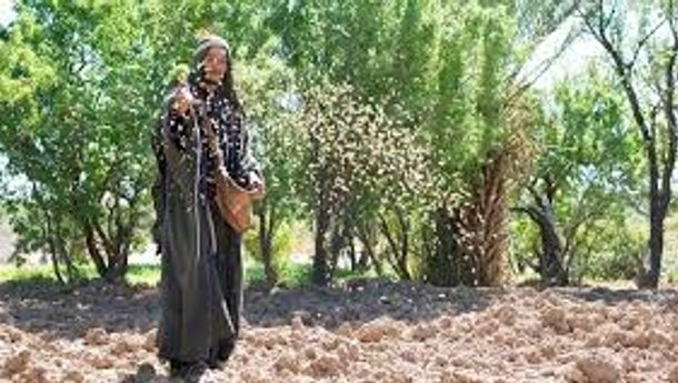 Bacaan Liturgis, Jumat, 30 Januari 2026