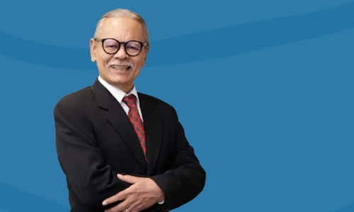 Erry Riyana Hardjapamekas.