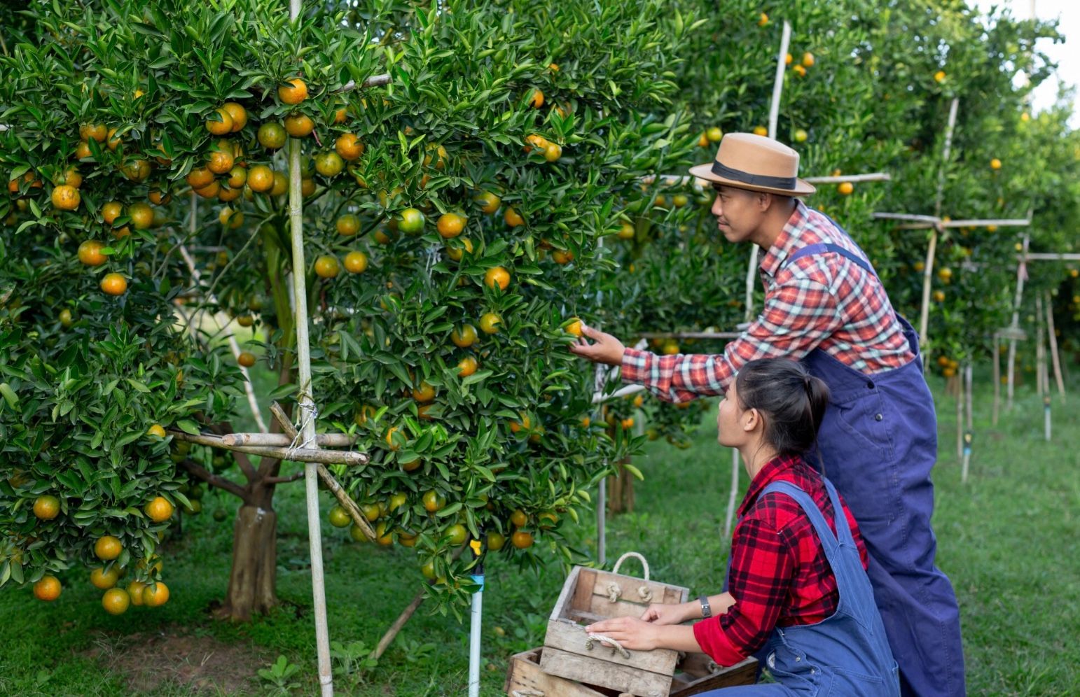 6 Kebiasaan Kuno yang Perlu Diterapkan Lagi agar Lebih Hemat