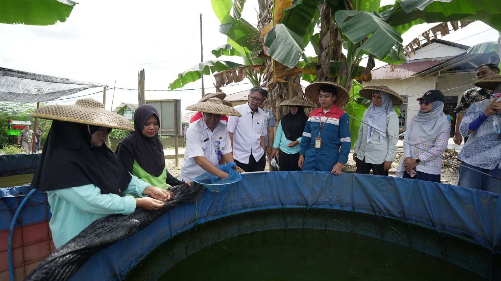 Pertamina Panen Perdana Ikan Papuyuh di Balikpapan