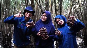 Mahasiswa UMY Hadirkan ‘ACONSHI’ untuk Petani Salak Magelang