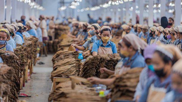 PTPN I Segera Ubah Struktur Bisnis