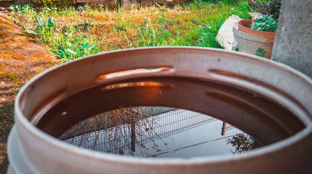 Ilustrasi penampungan air hujan.