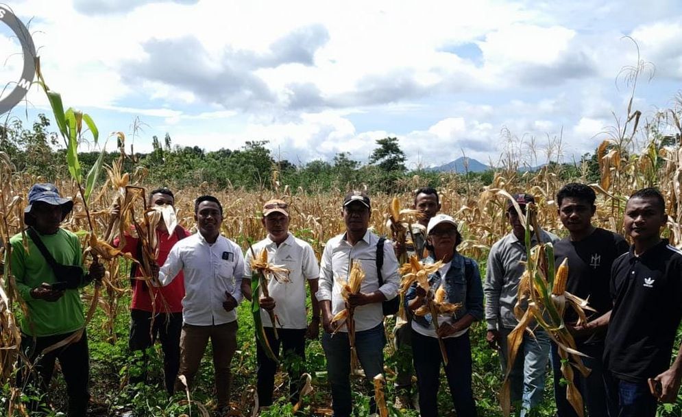 WhatsApp Image 2026-02-27 at 22.43.20 (1).jpeg