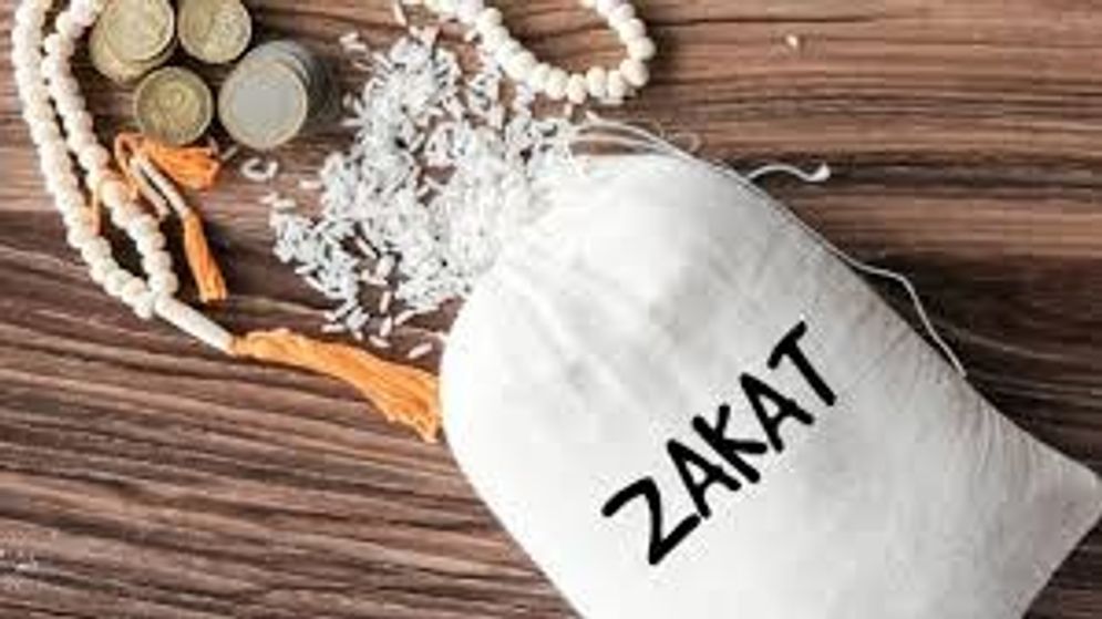 WhatsApp Image 2026-03-01 at 12.51.41.jpeg