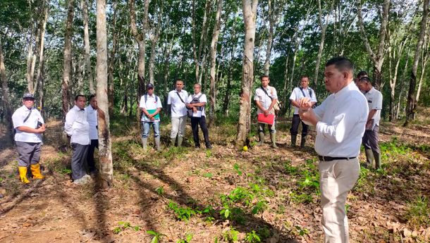 PTPN I Regional 7 Perkuat Pengawasan Produksi Karet
