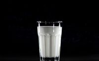 Minum susu.
