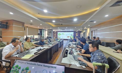 Kemenhut Bahas Pengelolaan Hutan Lestari dengan Tokyo Gas-Hanwa