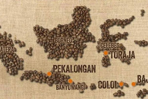 kopi.jpg
