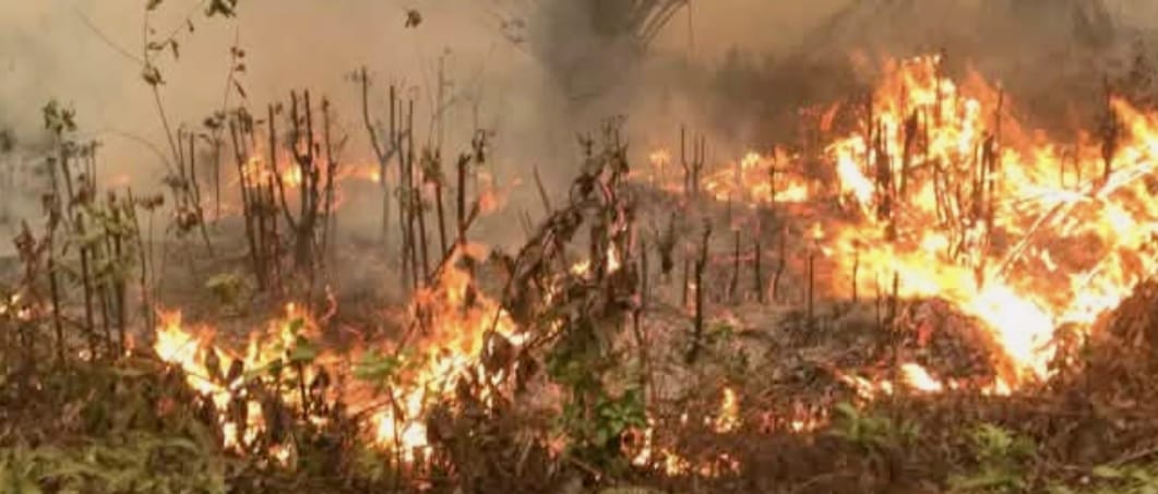 Waspada Karhutla, Kemarau 2026 Diprediksi Panjang