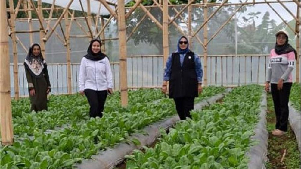 WhatsApp Image 2026-04-06 at 14.01.09 (1).jpeg