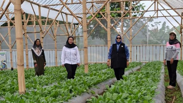 Perempuan Ini Raih Cuan dari Limbah Ternak Lewat Ultra Mikro BRI