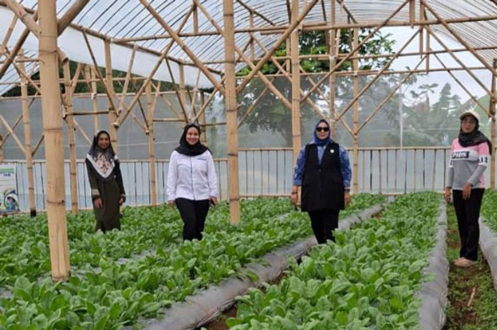 Perempuan Ini Raih Cuan dari Limbah Ternak Lewat Ultra Mikro BRI