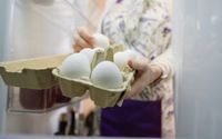 9 Bahan Makanan yang Tidak Boleh Disimpan di Pintu Kulkas
