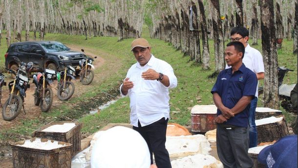 PTPN I Perkuat Produksi Karet Lewat Standarisasi Regional