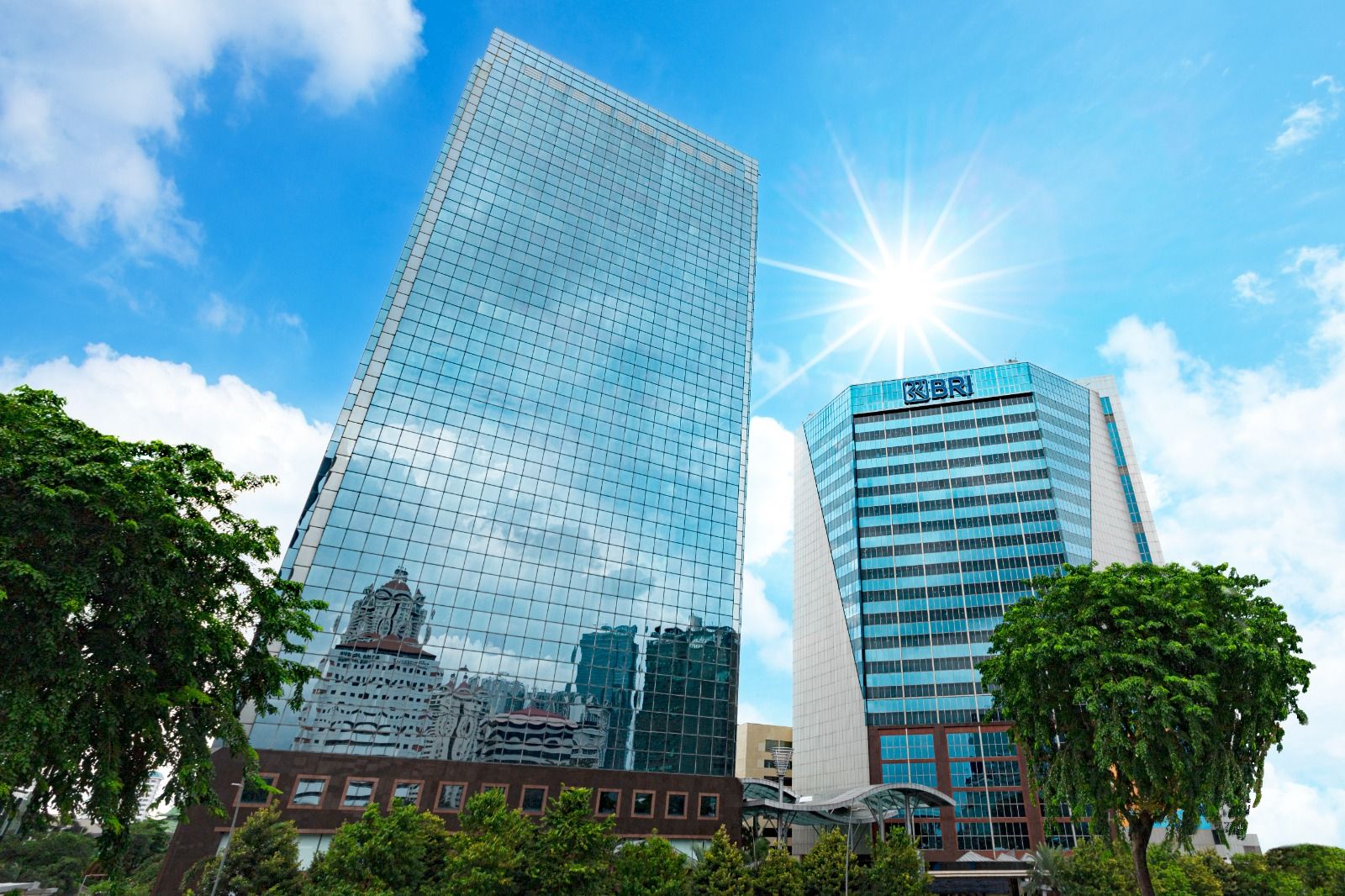 BRI Alihkan Saham BRI-MI dan PNM-IM ke Danantara