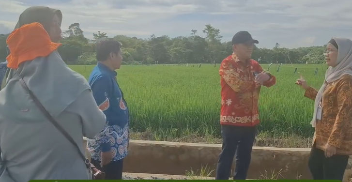 Pemkot Balikpapan Evaluasi Pertanian Gunung Binjai, Luas Tanam Naik  