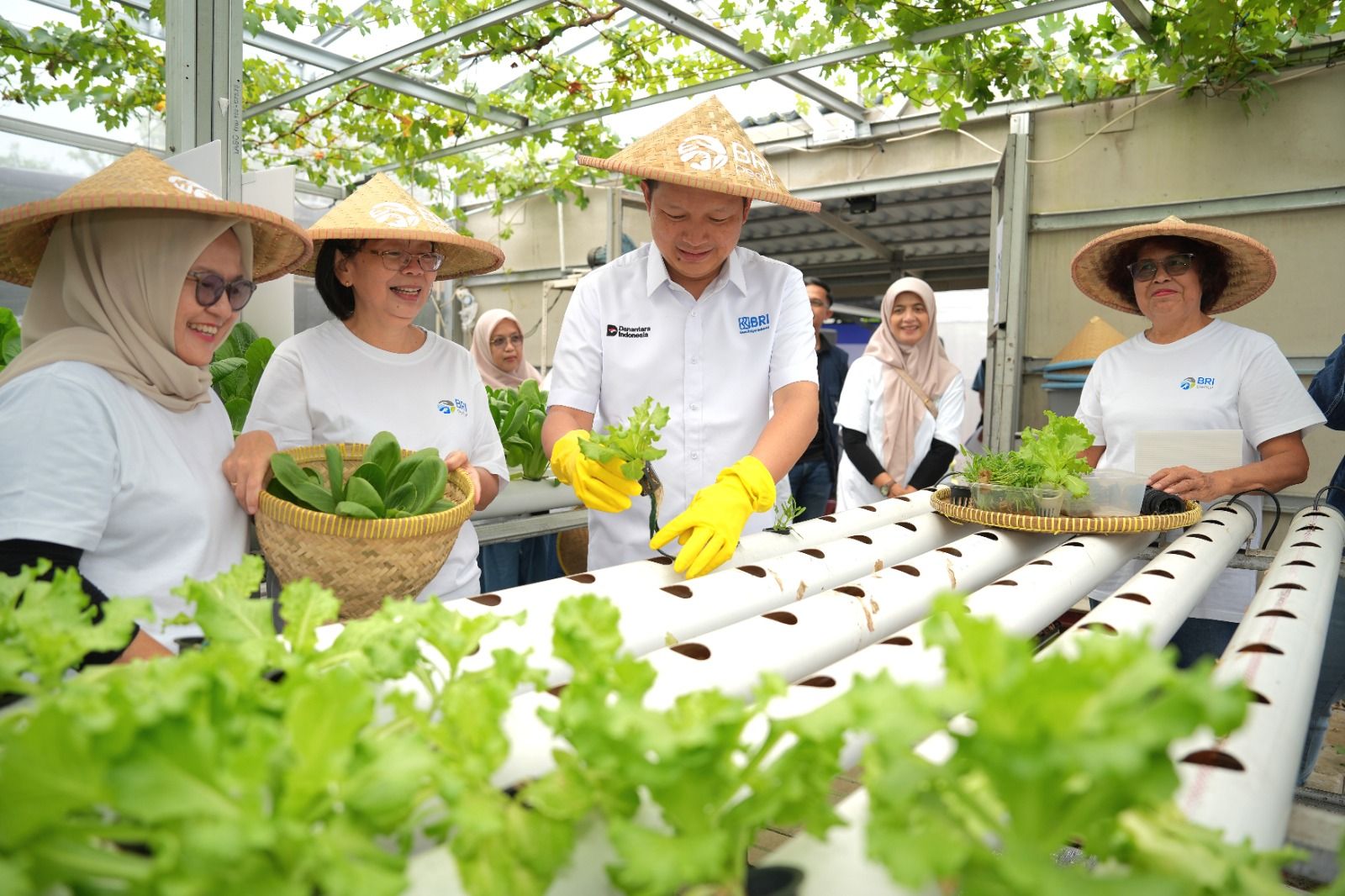 Kisah KWT Buaran Citra Lestari, Perempuan Berdaya Lewat BRInita