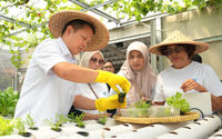 BRInita Bersama KWT Ini Hadirkan Urban Farming di Tengah Kota