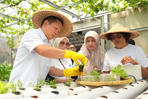 BRInita Bersama KWT Ini Hadirkan Urban Farming di Tengah Kota