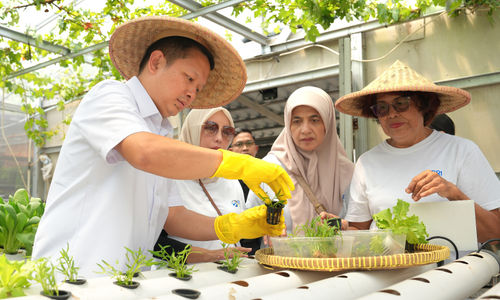 BRInita Bersama KWT Ini Hadirkan Urban Farming di Tengah Kota