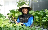BRInita Bantu Perempuan Kelola Kebun Kota yang Produktif