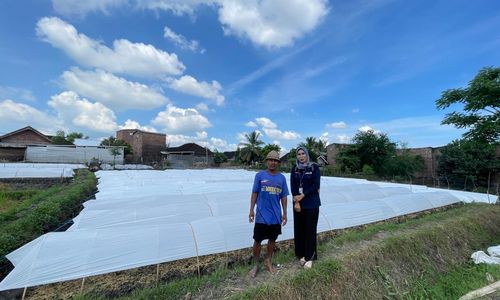 Kisah Mala, Mantri BRI yang Bantu Petani Desa di Lombok Berdaya