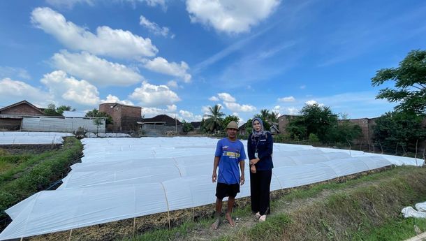 Kisah Mala, Mantri BRI yang Bantu Petani Desa di Lombok Berdaya