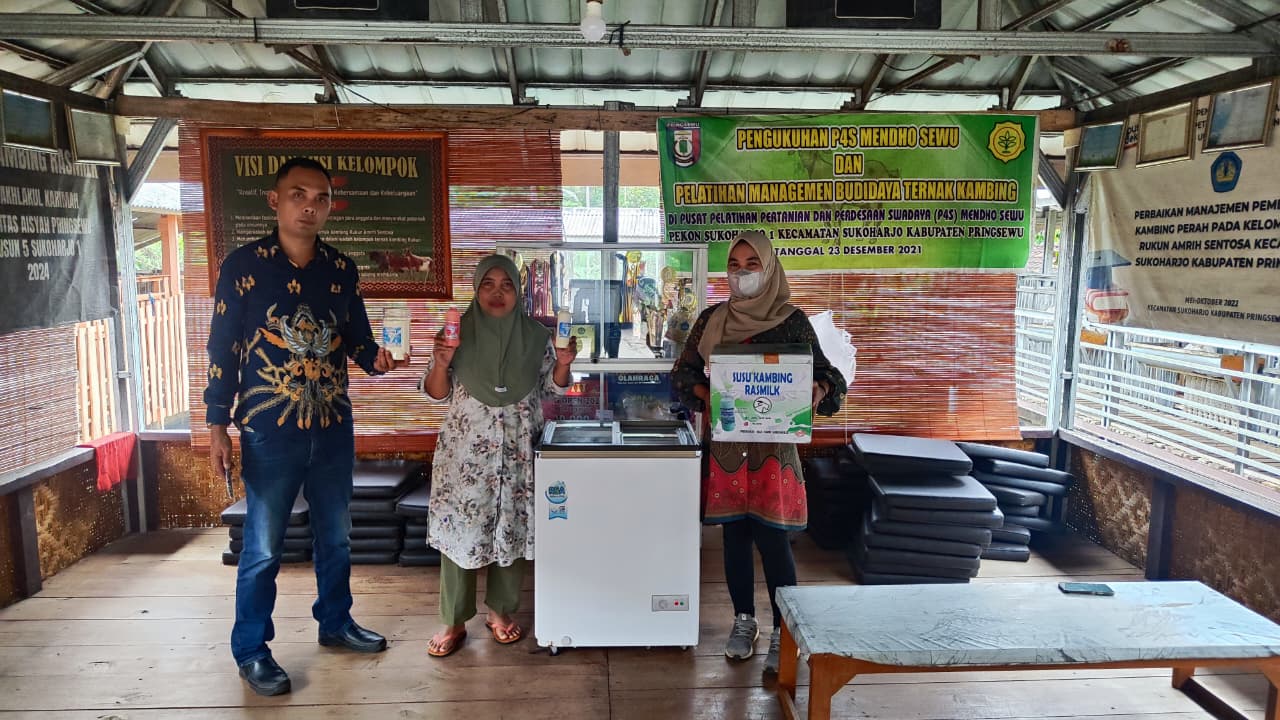 Ras Farm Berkembang Pesat, dari 1 Jadi 100 Kambing Didukung KUR BRI