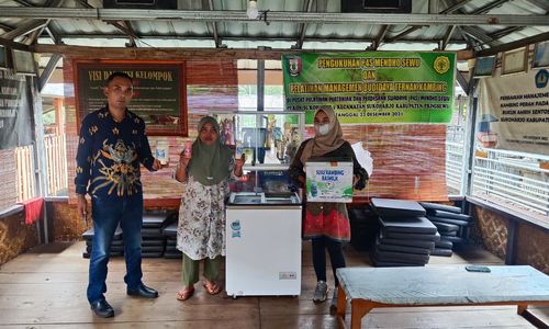 UMKM Susu Kambing Ras Farm Tumbuh Pesat Berkat Dukungan KUR BRI