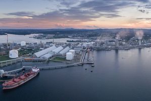 Pupuk Indonesia Jajaki Ekspor Urea di Tengah Gejolak Global