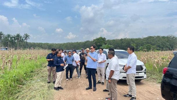 PTPN Siapkan 10.000 Ha Lahan Singkong untuk Bioetanol