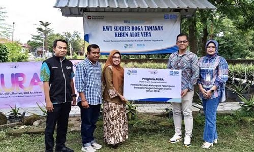 Bersama BRI, KWT Sleman Ini Sukses Budidaya Lidah Buaya