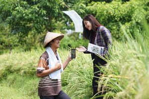 BRI Perluas Implementasi Sustainable Finance dalam Strategi Bisnis  