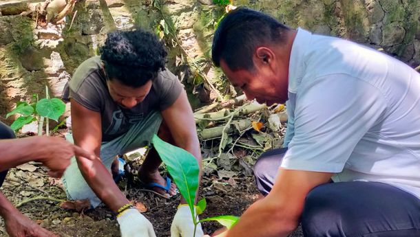 Kadis Disarpus Sikka Tanam Jati Emas, Gaungkan Semangat Hari Bumi 2026