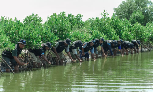 Peringati Hari Bumi, BRI Dukung Penanaman Mangrove di Muara Gembong Bekasi
