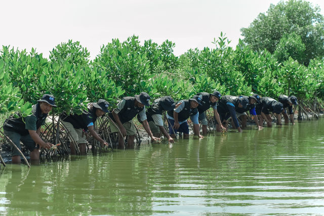 Peringati Hari Bumi, BRI Dukung Penanaman Mangrove di Muara Gembong Bekasi
