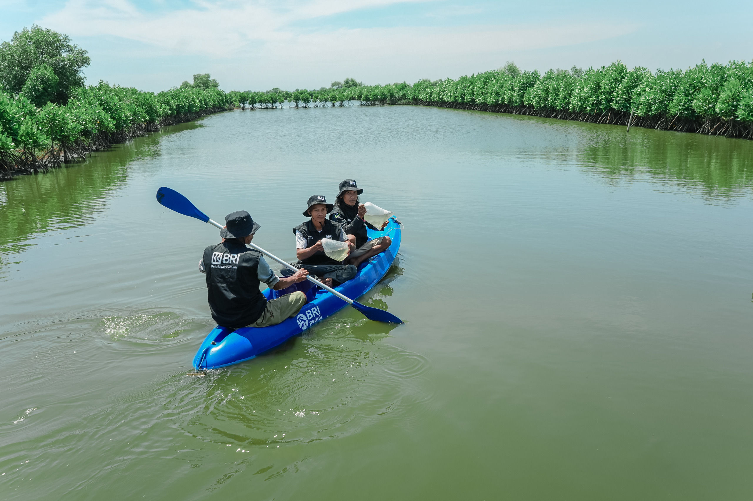 Peringati Hari Bumi, BRI Tanam 500 Mangrove Upaya Nyata Cegah Abrasi Pantai