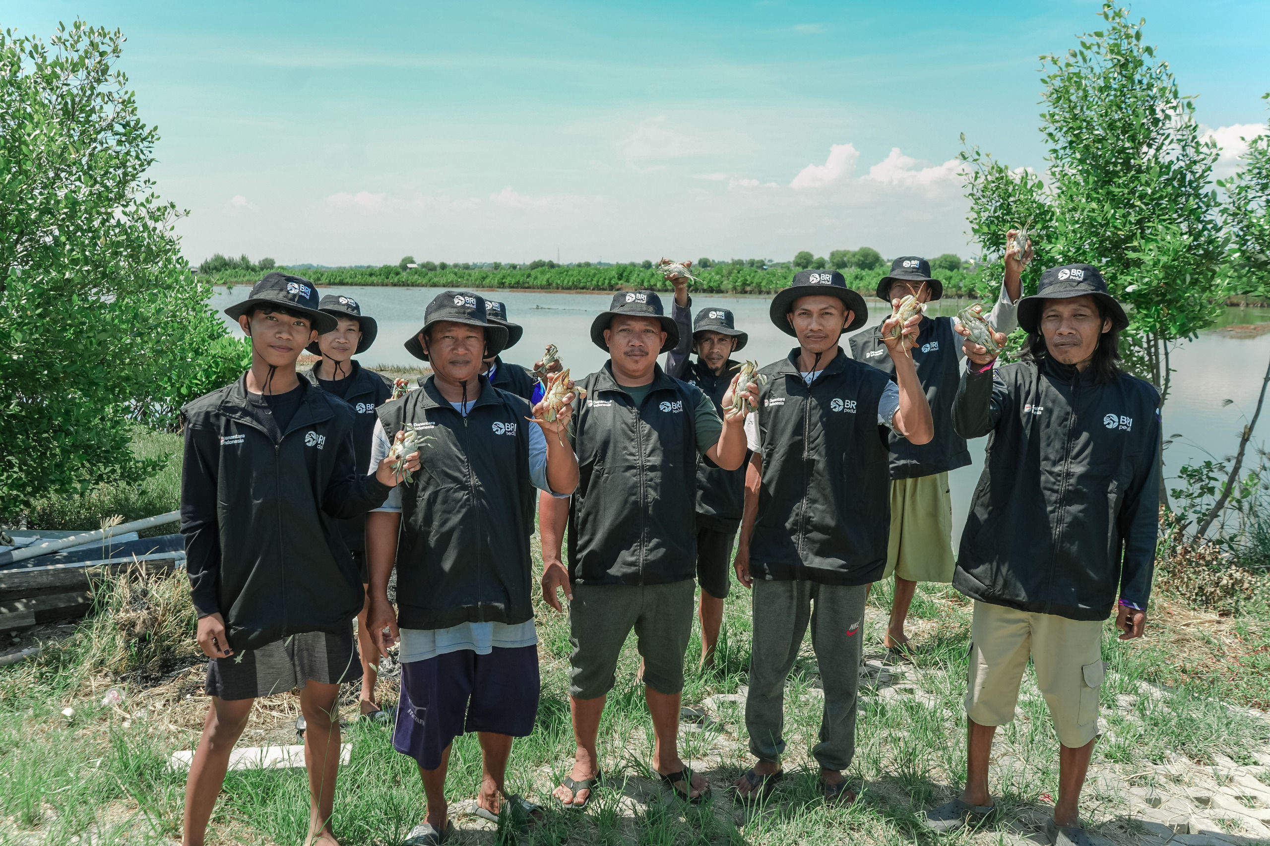 Kolaborasi dengan KTH Sumber Makmur, BRI Tanam 500 Mangrove dan Lepas Ikan