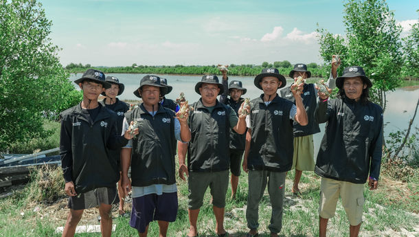 Lindungi Ekosistem Pesisir, BRI Tanam 500 Mangrove dan Lepas Ikan Serta Kepiting