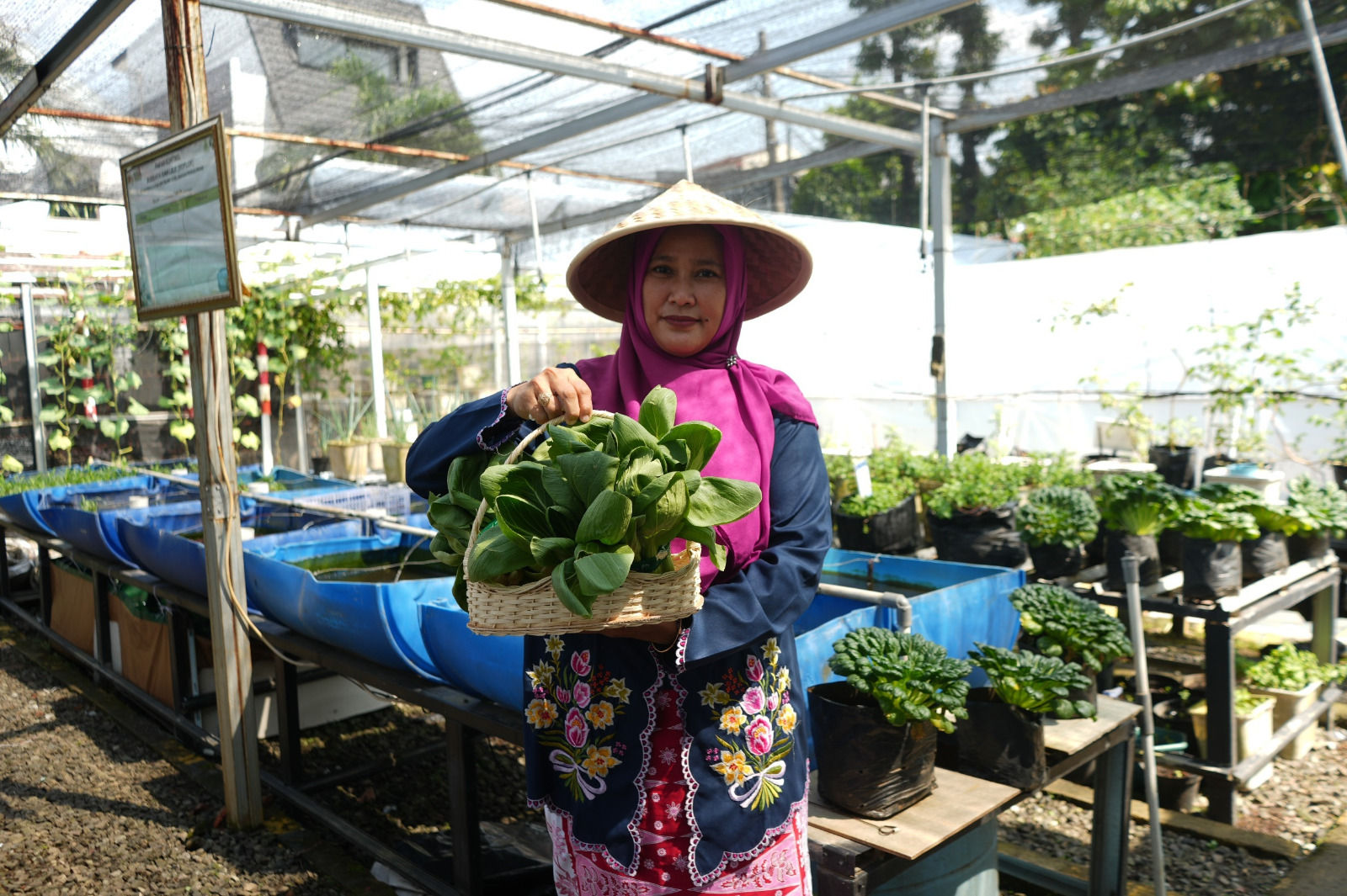 BRI Dukung Perempuan Berdaya Lewat Urban Farming Program BRInita