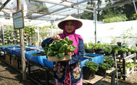 BRI Dukung Perempuan Berdaya Lewat Urban Farming Program BRInita