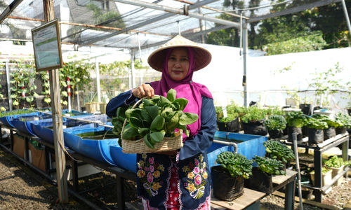 BRI Dukung Perempuan Berdaya Lewat Urban Farming Program BRInita