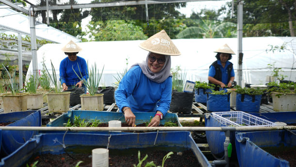Dari Lahan Sempit Jadi Produktif, BRI Dorong Perempuan Berdaya Lewat BRInita